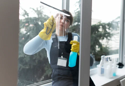 Nettoyage de vitres intérieures et extérieures à Écoyeux